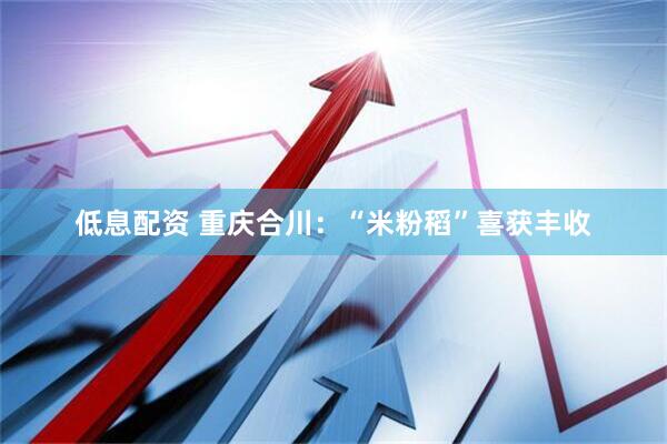 低息配资 重庆合川：“米粉稻”喜获丰收