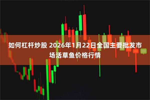 如何杠杆炒股 2026年1月22日全国主要批发市场活草鱼价格行情