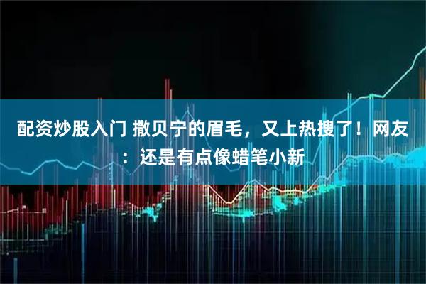 配资炒股入门 撒贝宁的眉毛，又上热搜了！网友：还是有点像蜡笔小新